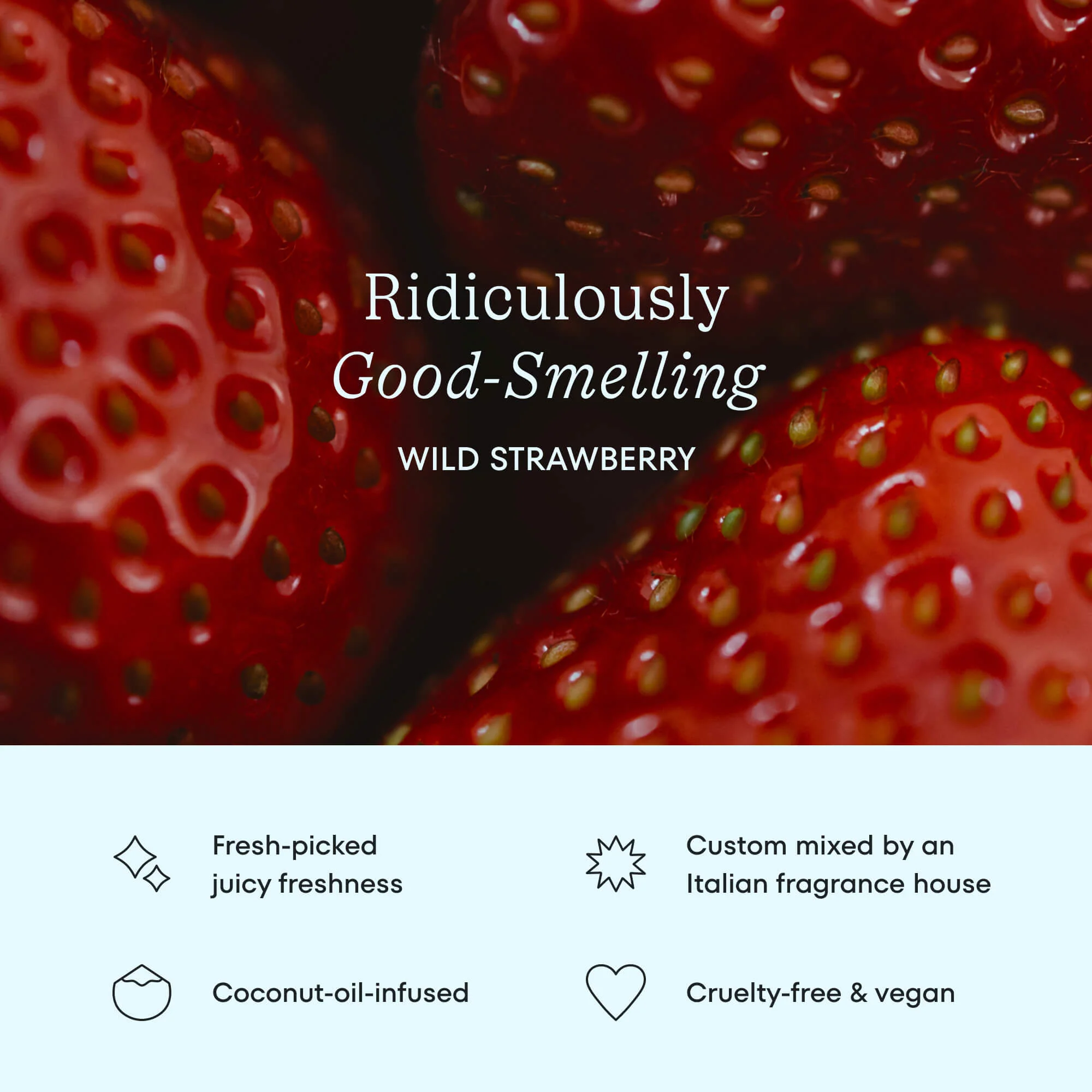 Cocofloss Refill Trio - Image 9