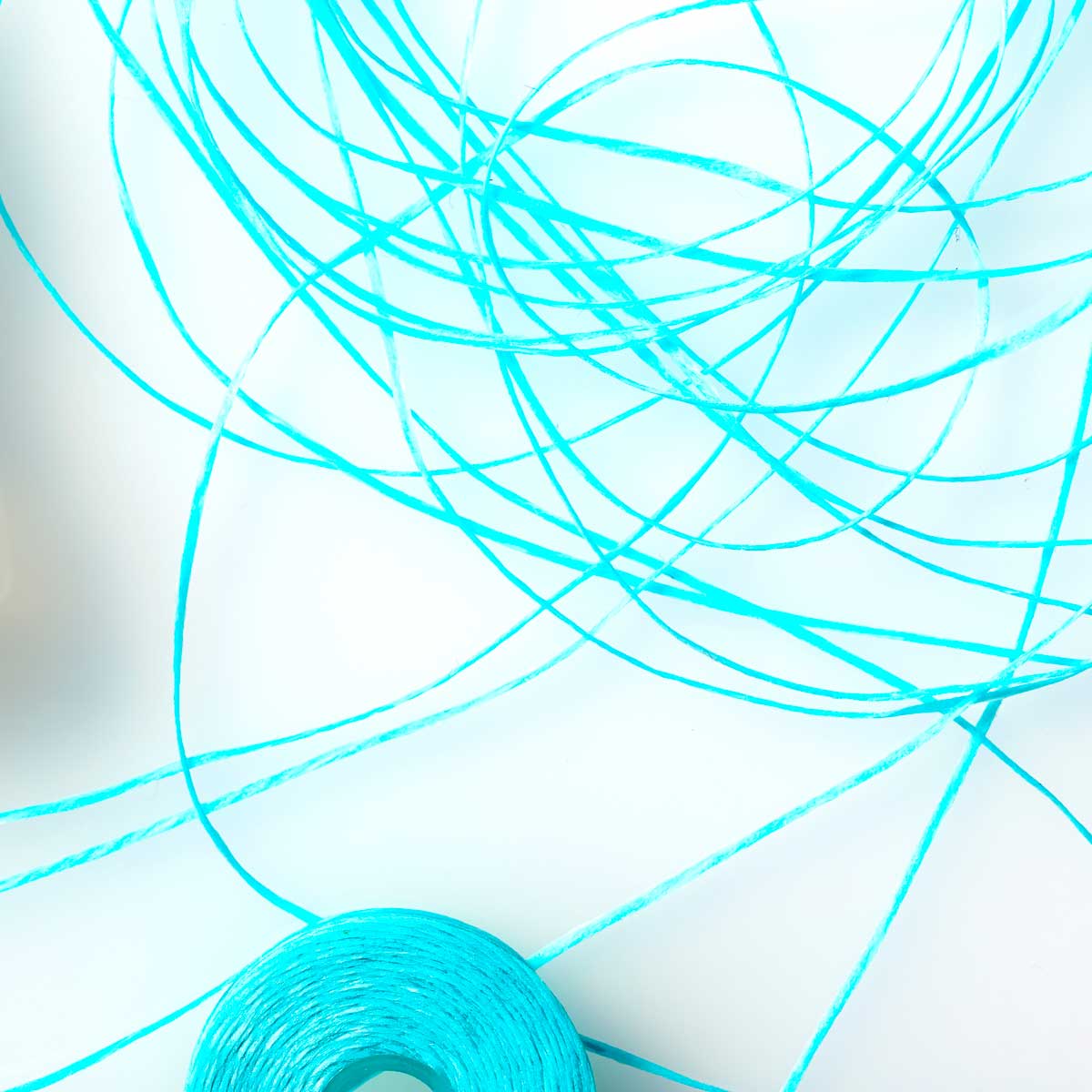 Confetti Cake Dental Floss - Image 9