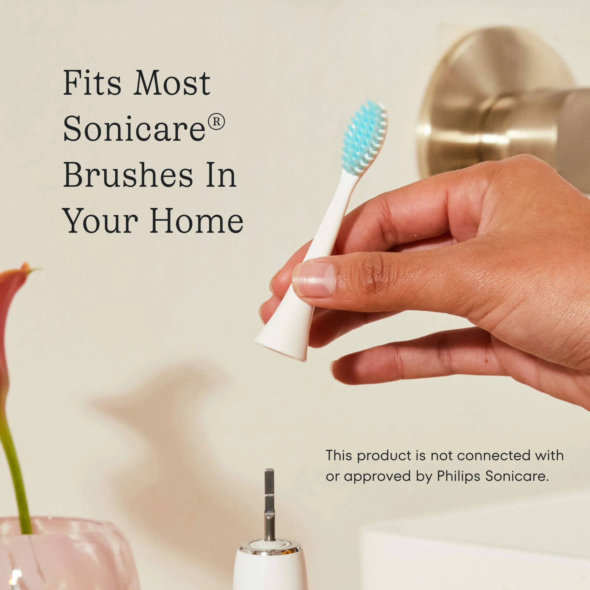 Electric Brush Refills - Image 3