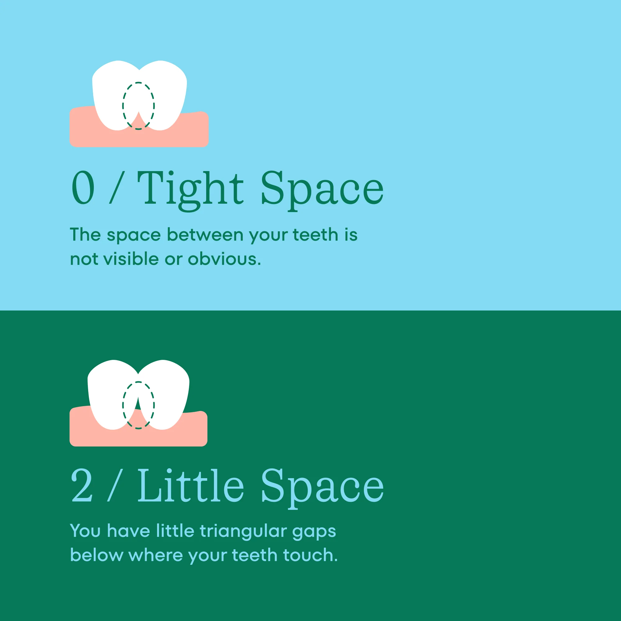 Great Gums Brush - Image 4